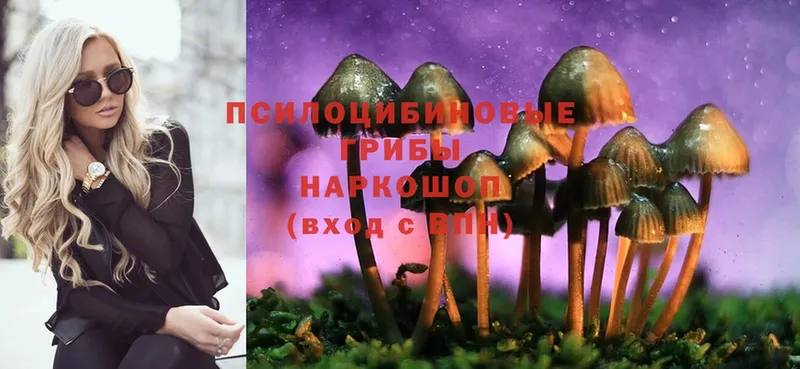 Псилоцибиновые грибы Cubensis  ОМГ ОМГ маркетплейс  Александров 